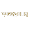 PegasusMPL-D